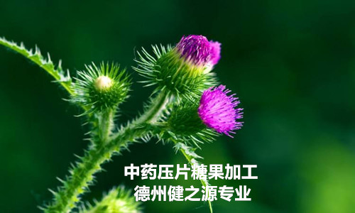 哪里有專業的壓片糖果加工廠_德州健之源牡蠣壓片糖果