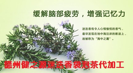 緩解腦部疲勞 預防脫發的好茶--迷迭香茶