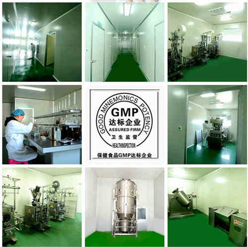 代餐粉代加工廠家-GMP車間-德州健之源